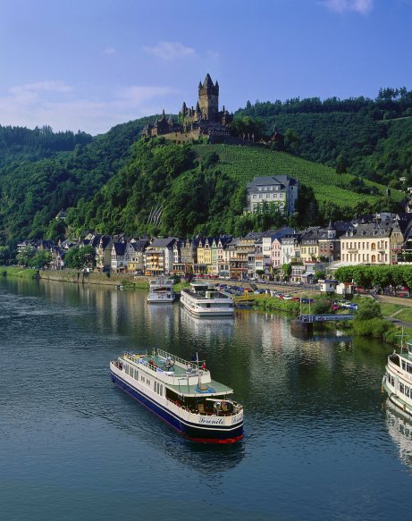 81-1-mosel