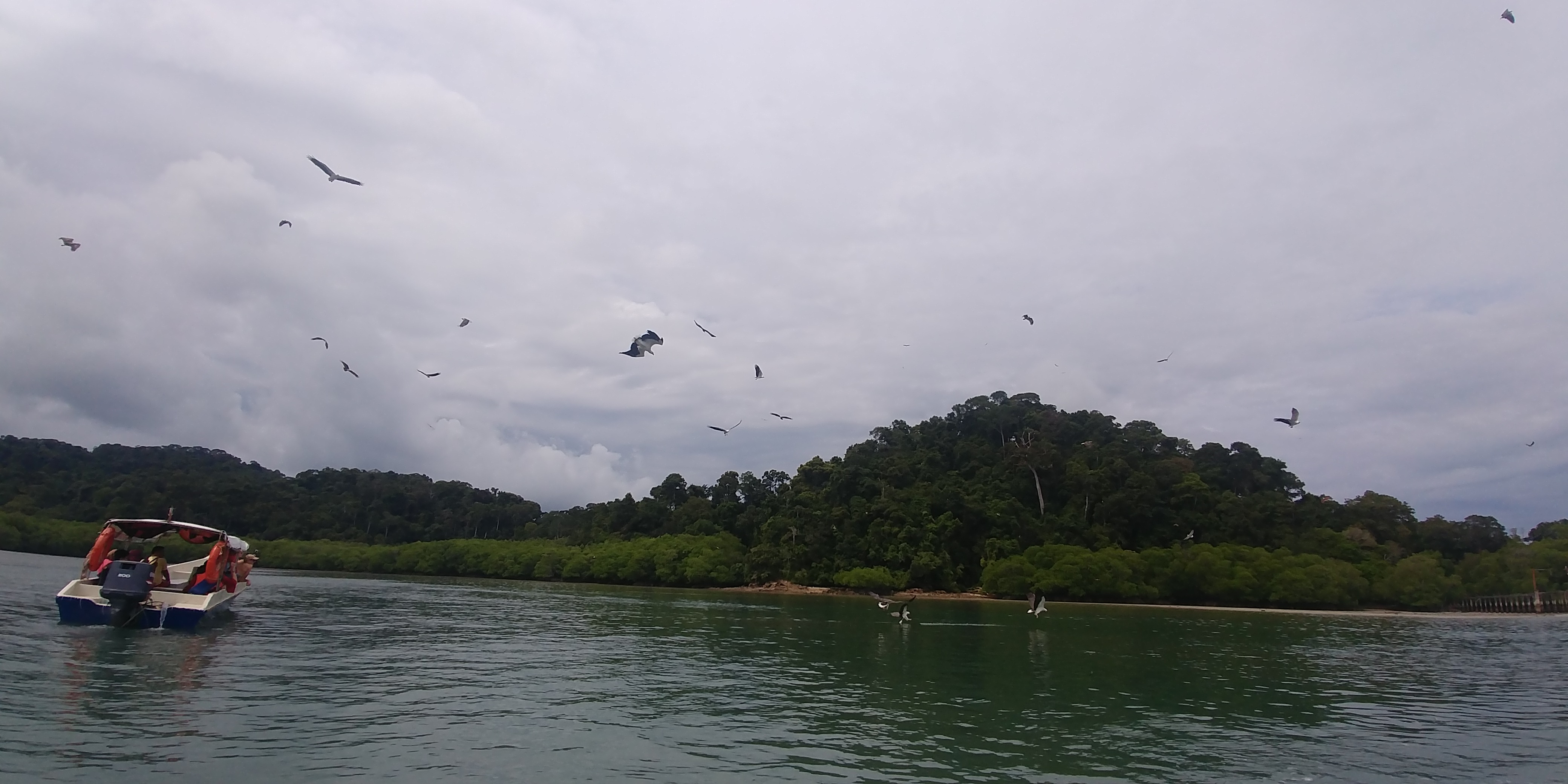 20191021_112254_Burst01