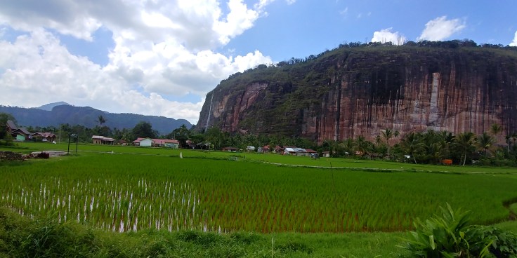 20191102_124118_HDR(1)