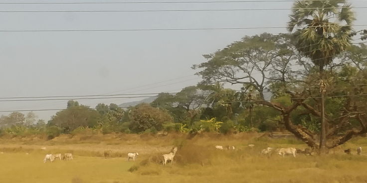 Screenshot_20200121-122811