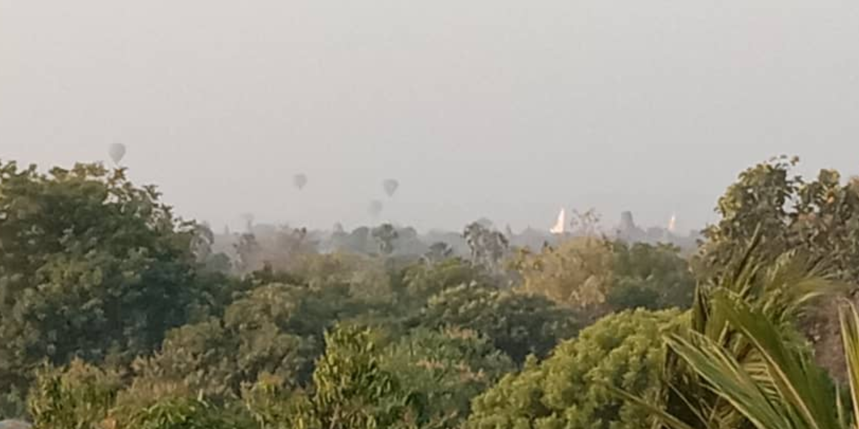 Screenshot_20200201-083059