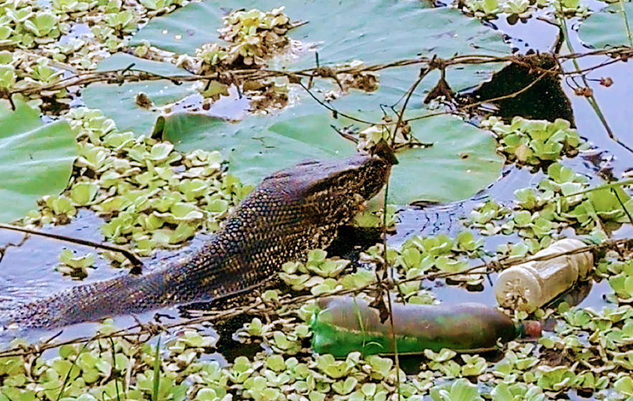 Screenshot_20200323-120817~2